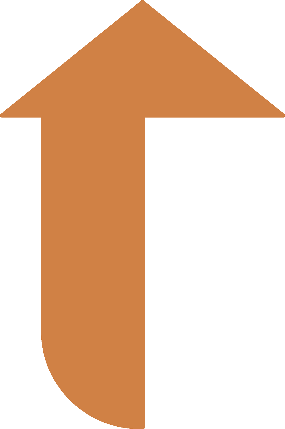 Novo_Destino_Pijl_oranje (1)